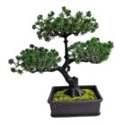 Bonsai Faux Plastic Pot TRA1075