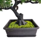 Bonsai Faux Plastic Pot TRA1075 Bottom