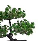 Bonsai Faux Plastic Pot TRA1075 Close