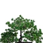 Bonsai Faux Plastic Pot TRA1075 Close Up