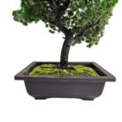 Bonsai Fuax Tree TRA1076 Bottom