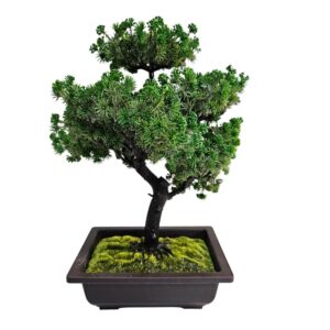 Faux Bonsai Tree