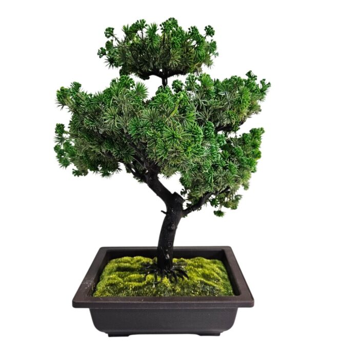 Bonsai Fuax Tree TRA1076 Main