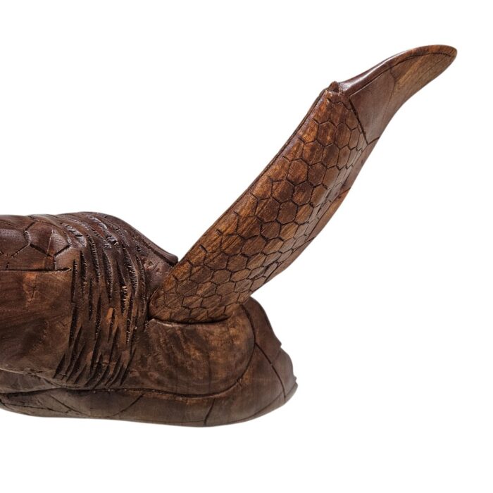 Bust Turtle Wall Hanging BGL0578 Close Bust Turtle Wall Hanging BGL0578 Close