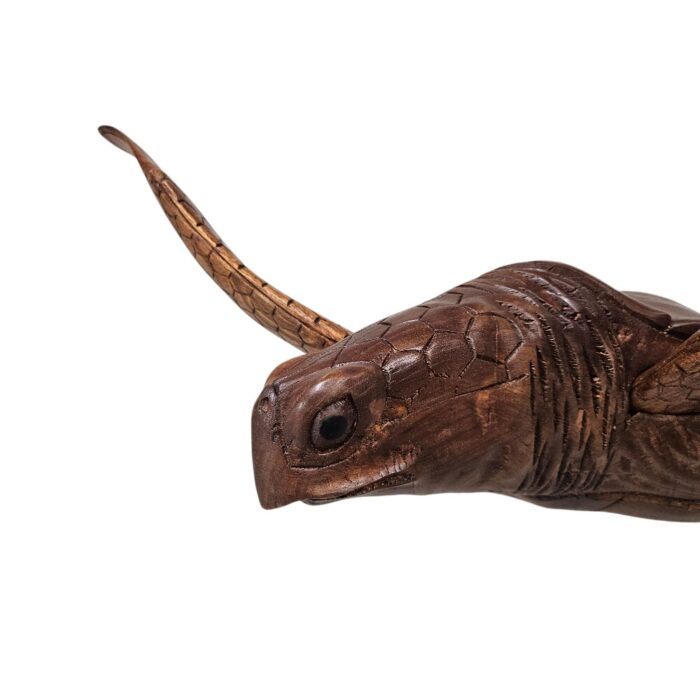 Bust Turtle Wall Hanging BGL0578 Close Up Bust Turtle Wall Hanging BGL0578 Close Up