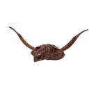 Bust Turtle Wall Hanging BGL0578 Front