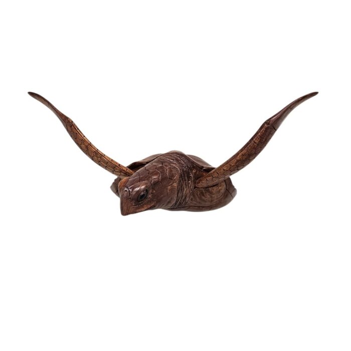 Bust Turtle Wall Hanging BGL0578 Front Main Bust Turtle Wall Hanging BGL0578 Front Main