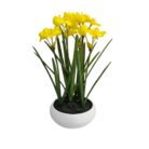 Daffodil Faux TRA1080