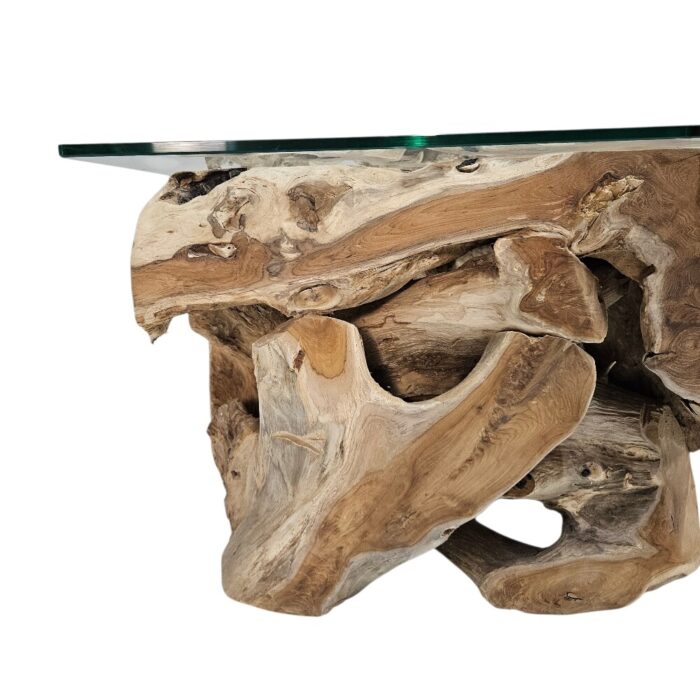 Erosi Root Coffee Table INJ4650A19 Close Up teak root coffee table with glass top