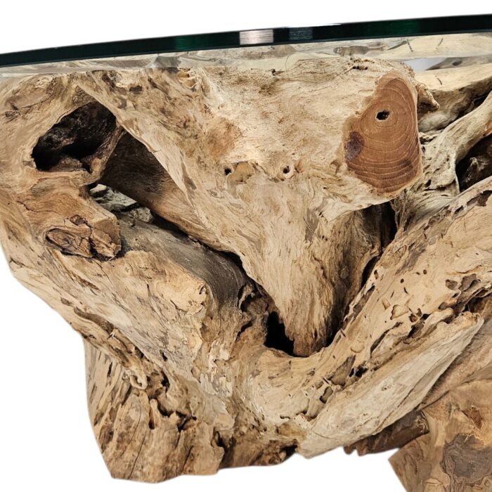 Erosi Round Root Coffee Table Front INJ3400A23 Close Up round teak root coffee table with glass top