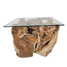 rustic teak root coffee table