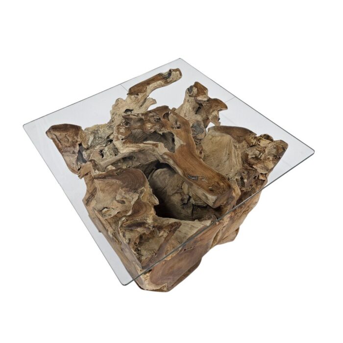 Erosi Teak Root Coffee Table INJ4650A18 Top Side Erosi Teak Root Coffee Table INJ4650A18 Top Side