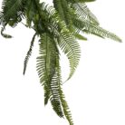 Faux Feather Fern TRA1055 Close