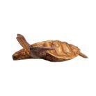 Swimming Wall Turtle BGL0575 Full Side