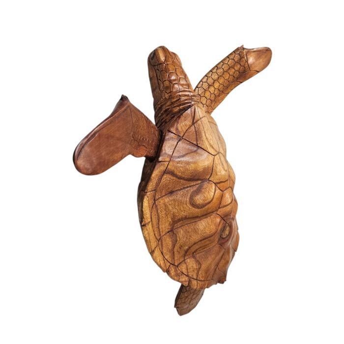 Swimming Wall Turtle BGL0575 Side