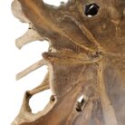 rustic teak root coffee table