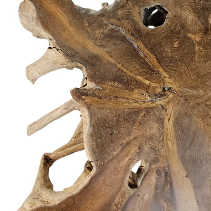 rustic teak root coffee table