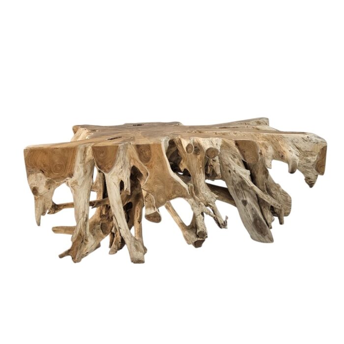 Teak Root Block Coffee Table