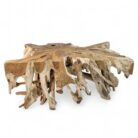 Teak Root Block Coffee Table