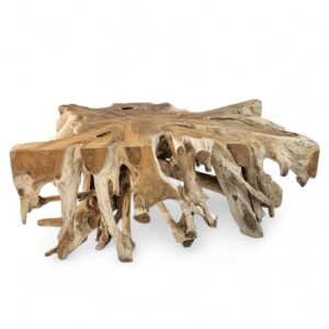 Teak Root Block Coffee Table