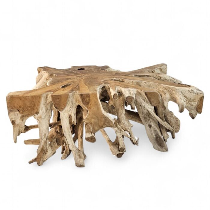 Teak Root Block Coffee Table