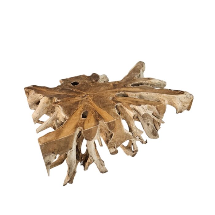 Teak Root Block Coffee Table INJ3080 Side