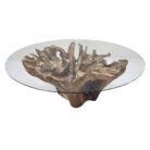 Teak Root Dining Table INJ0760A12 Top