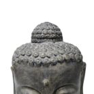 Thai Buddha Head