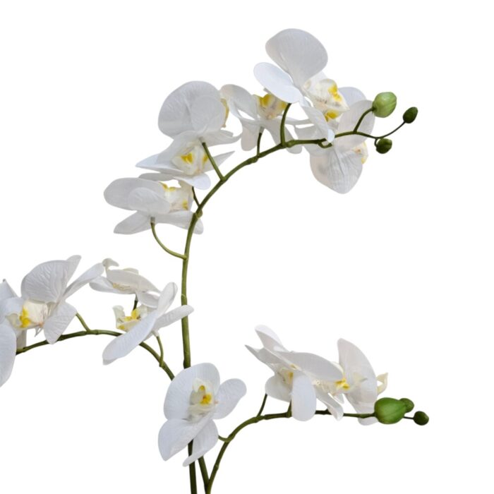 White Orchid Faux TRA0123 Close Up