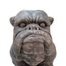 Bulldog Large GRC BUK8100 Close Front