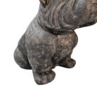 Bulldog Large GRC BUK8100 Close Up