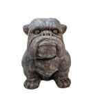 Bulldog Large GRC BUK8100 Main