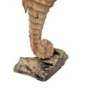 Carved Seahorse BGL0605 Close Bottom