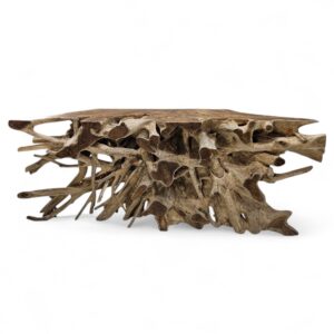 Erosi Teak Tree Root 2m Console Table