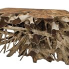 Teak Erosi Root Console Tabl INJ5400A12 Close Mid