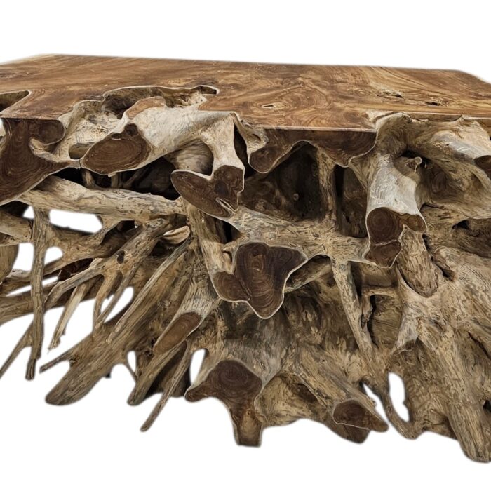Teak Erosi Root Console Tabl INJ5400A12 Close Mid