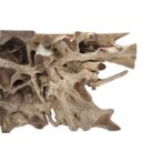 Teak Erosi Root Console Tabl INJ5400A12 Close Up