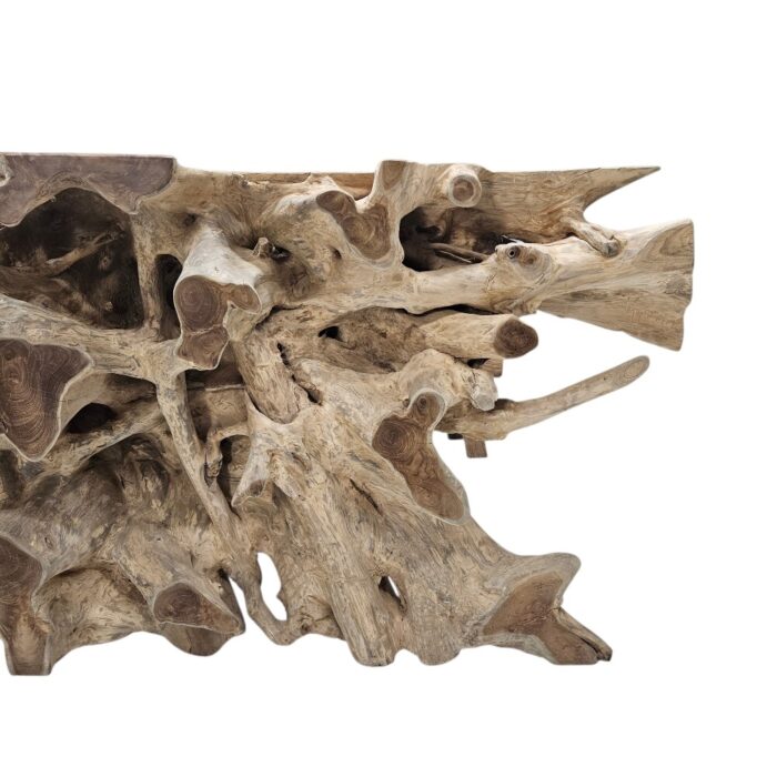 Teak Erosi Root Console Tabl INJ5400A12 Close Up