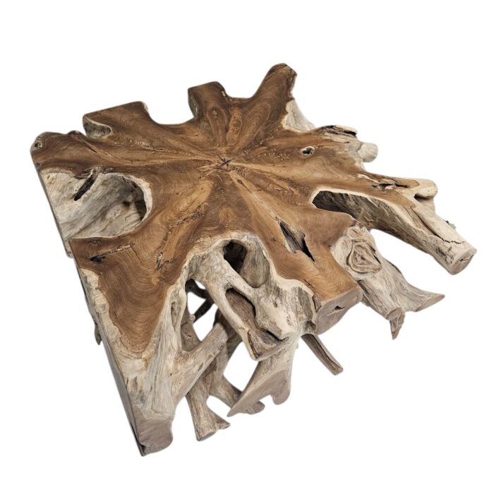 Teak Root Square Side Table Block INJ3150A9 Side