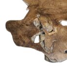 Bar Root Table NJA9150M Close