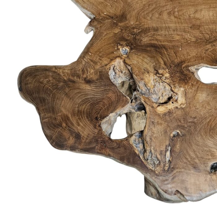 Bar Root Table NJA9150M Close