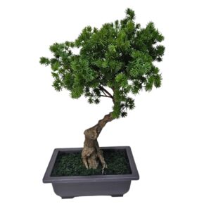 Faux Pine Bonsai Tree