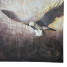 Eagle Wall Art Painting Close UP