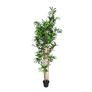 Faux Premium Bamboo Plant 2m