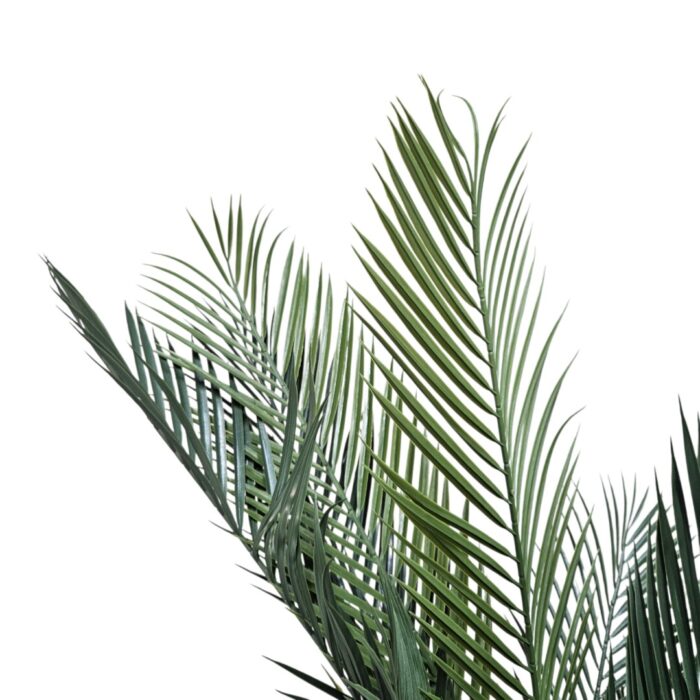 Faux Premium Areca Palm Tree DYF0110 Close Up Faux Premium Areca Palm Tree DYF0110 Close Up