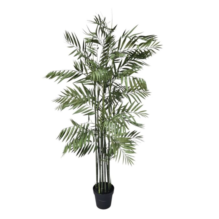 Faux Premium Bamboo Plant 1.7m DYF0105 Faux Premium Bamboo Plant 1.7m DYF0105