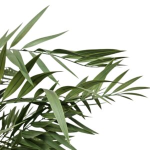 Faux Premium Bamboo Plant 1.7m DYF0105 close leaf