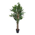 Faux Premium Ficus Tree DYF0015 Main