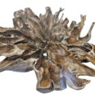 Root Dining Scoop Table INJ0760A13 Close