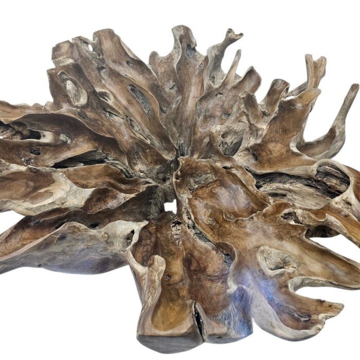 Root Dining Scoop Table INJ0760A13 Close